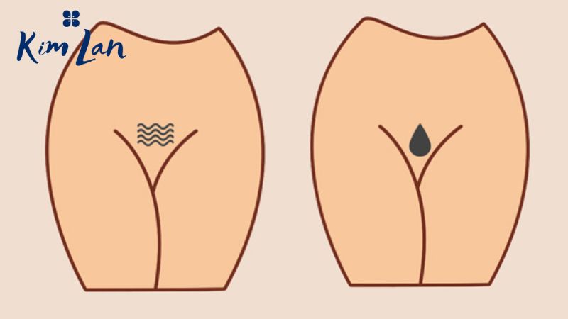 Tạo hình bikini theo mệnh kim thuỷ
